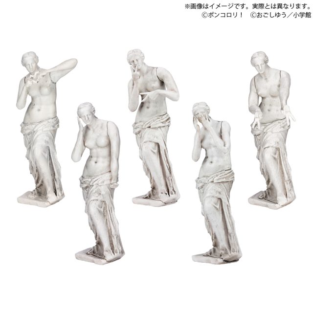 ポンコロリ！　ギャルのヴィーナス