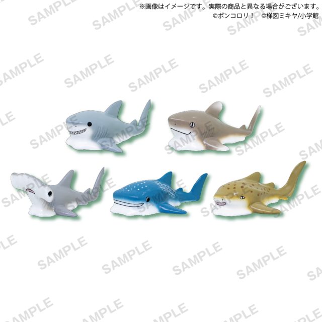 ポンコロリ！　なめっとさめくじ