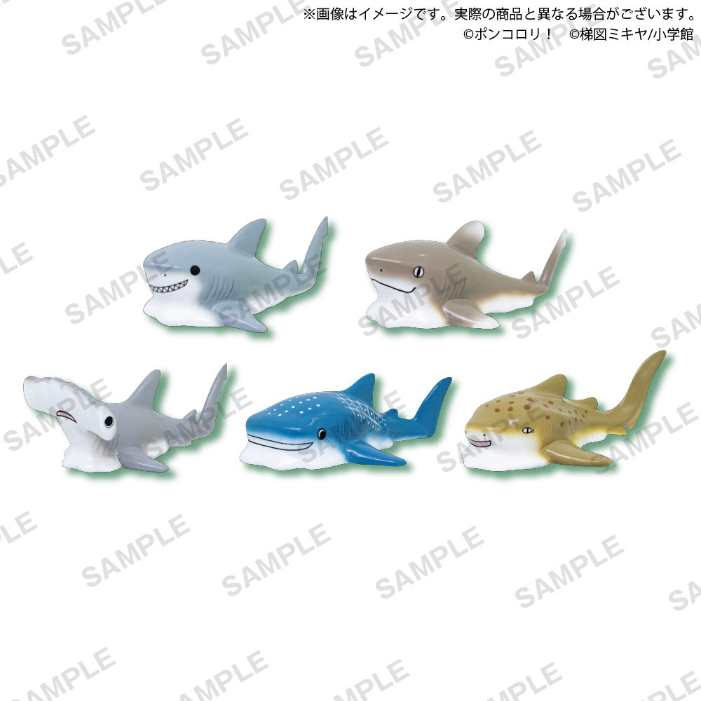 ポンコロリ！ なめっとさめくじ｜商品情報｜ブシカプ