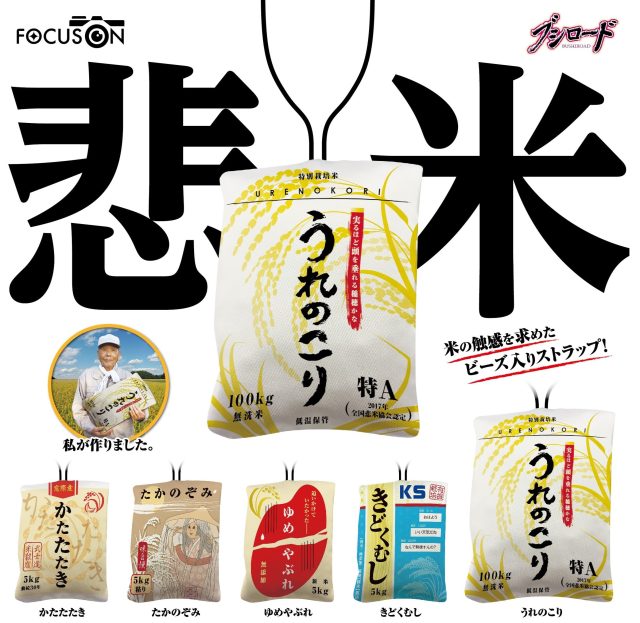 【FOCUS ON】 悲米（ひまい）