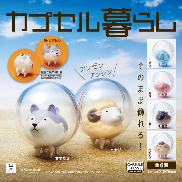 カプセル暮らし