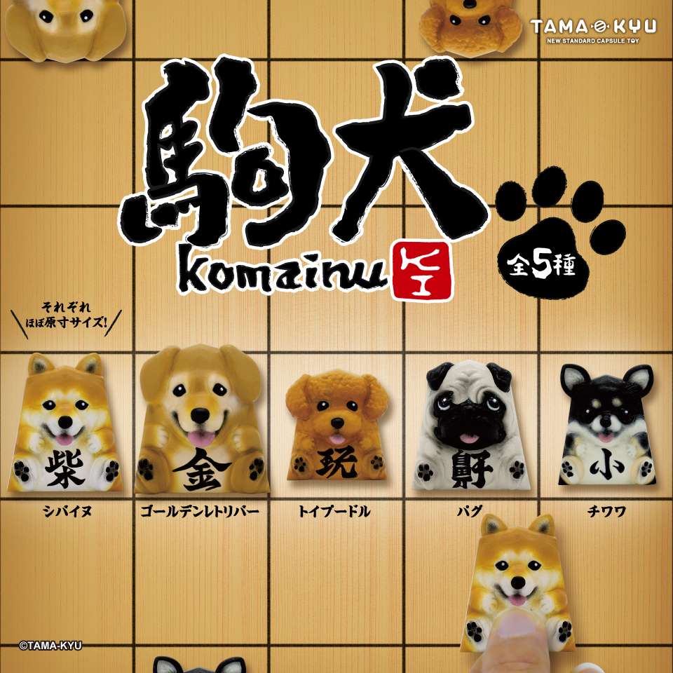 こまつのこま犬。様 リクエスト 2点 まとめ商品 2月のドギーボックスは 