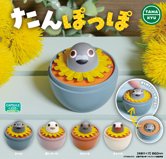 たんぽっぽ