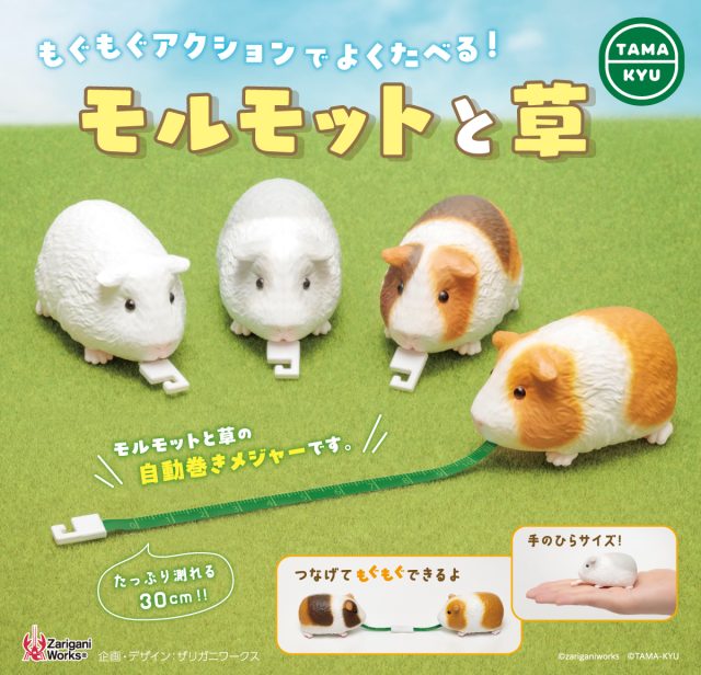 モルモットと草