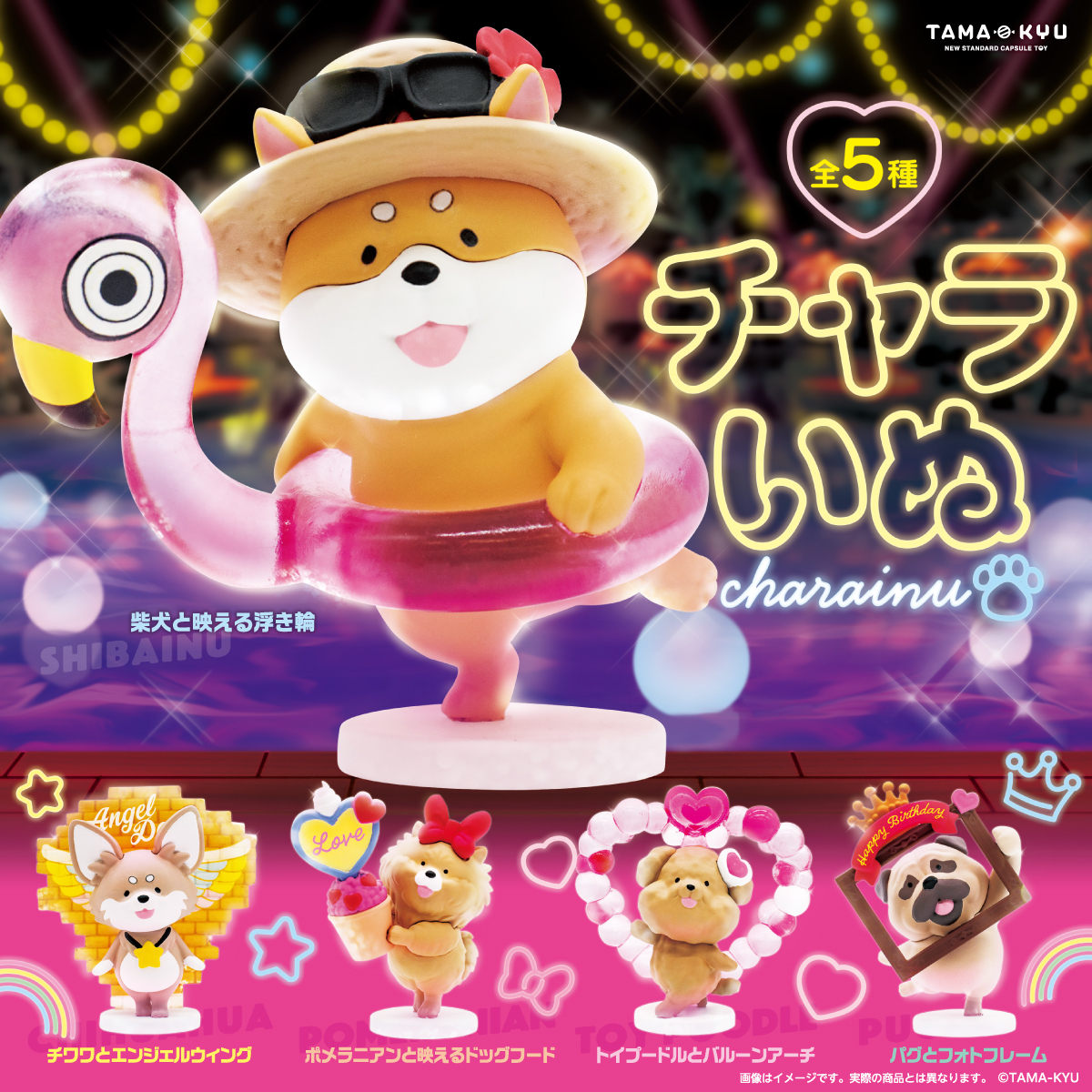 チャラいぬ｜商品情報｜ブシカプ！｜ブシロードカプセル公式サイト