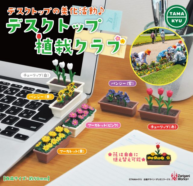 デスクトップ植栽クラブ