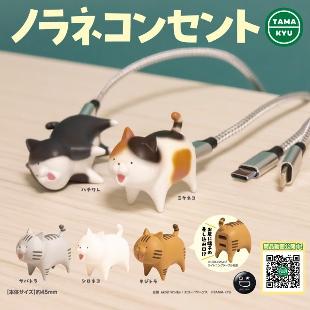 ノラネコンセント