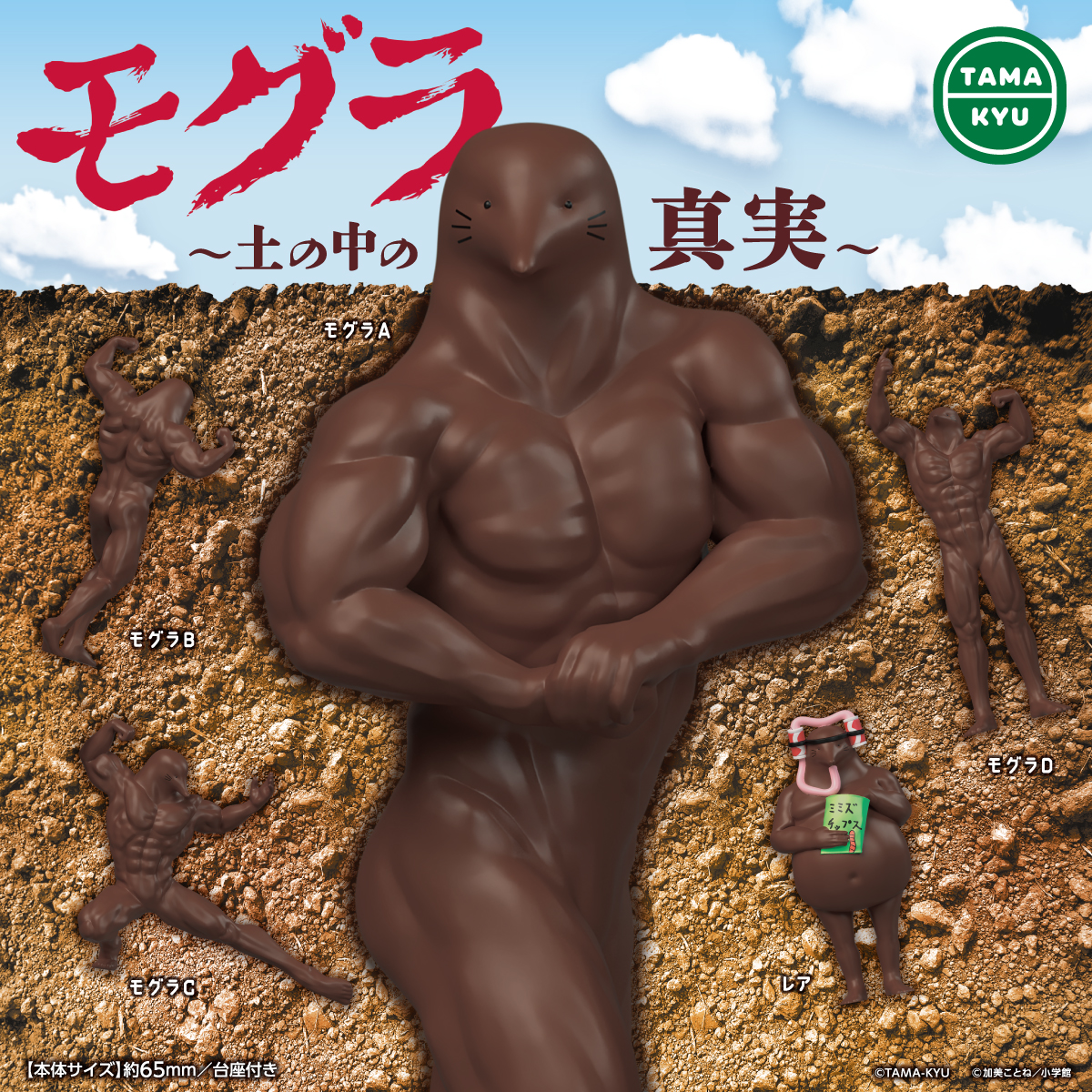モグラ ～土の中の真実～｜商品情報｜ブシカプ！｜ブシロードカプセル