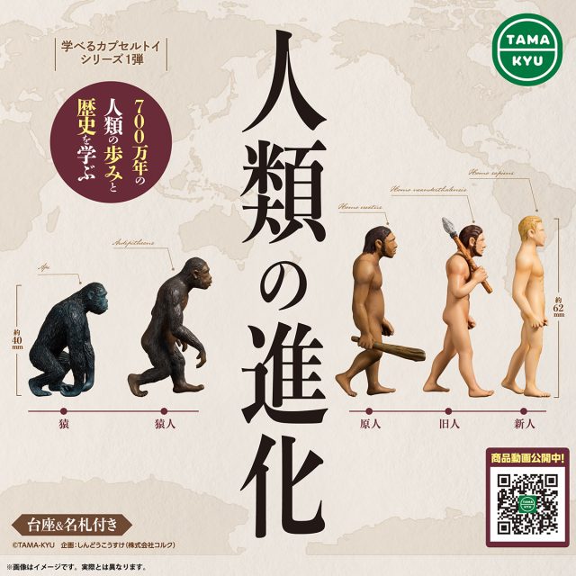 人類の進化